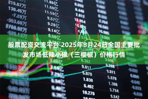 股票配资交流平台 2025年8月24日全国主要批发市场低辣小椒（三樱椒）价格行情