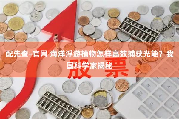 配先查-官网 海洋浮游植物怎样高效捕获光能？我国科学家揭秘
