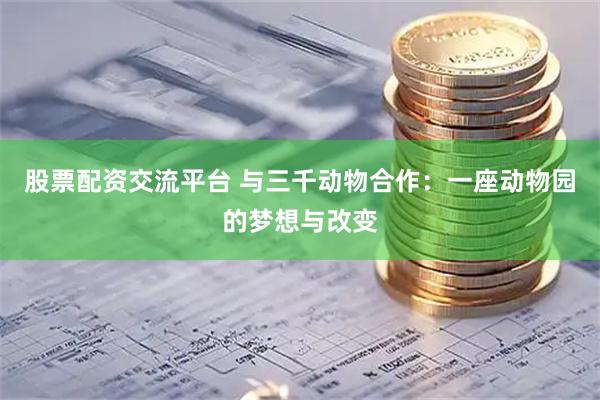 股票配资交流平台 与三千动物合作：一座动物园的梦想与改变